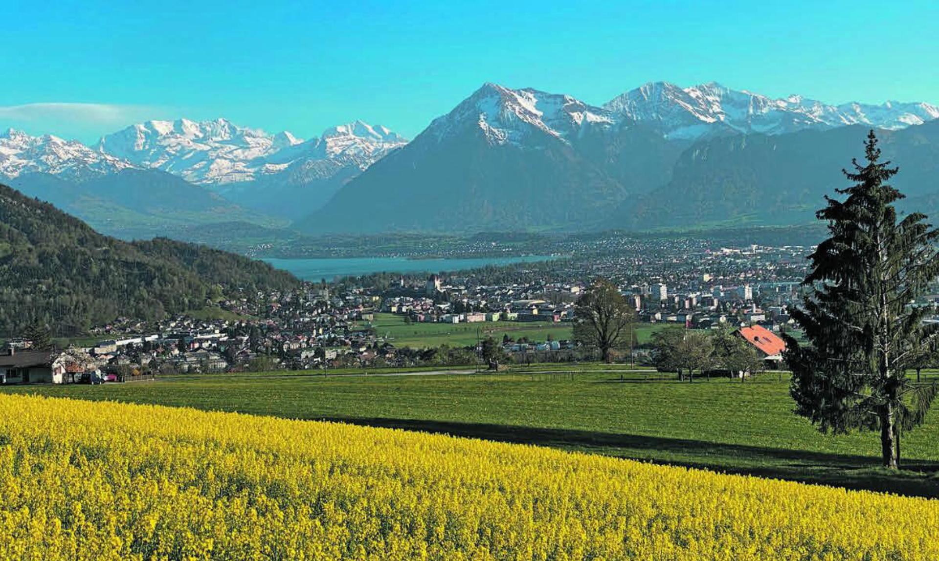 Ausblick am Hartlisberg – Steffisburg reicht weit, wobei das Ländliche nahtlos in das Städtische übergeht.