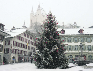 Weihnachten 2018: Die Wattenwiler Hochzeitstanne wurde von der IGT zum Thuner Weihnachtsbaum erkoren.