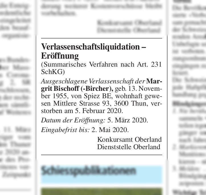 Bischoff Maler Gipser Gmbh Gipserei Spiez